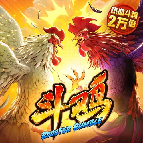 图片报：施洛特贝克明夏将出任多特队长，多名球员竞争副队长职位
